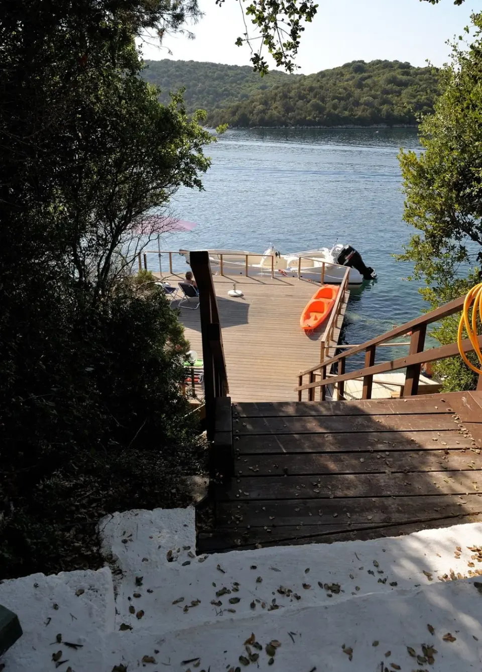 Steps down to the dock through the trees